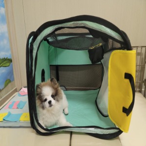 펫 강아지 애견 접이식 여행용 휴대용 드라이룸 반려동물 건조 가방